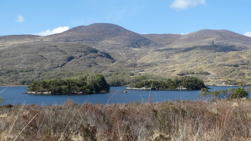 Ronayne's Island, Eagle Island, An Loch Uachtarach, Doire Coinche, Slí Uíbh Ráthaigh, Páirc Náisiúnta Chill Airne, Co. Chiarraí.
